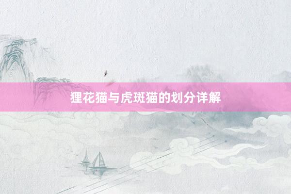 狸花猫与虎斑猫的划分详解